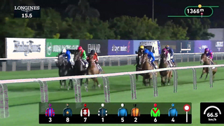 Race #8 – 02.02.24 – JUMEIRAH GUINEAS Presented by Lincoln Nautilus
