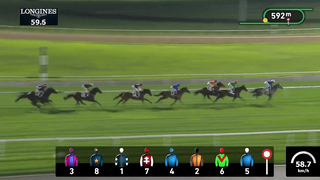 Race #8 – 02.02.24 – JUMEIRAH GUINEAS Presented by Lincoln Nautilus