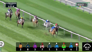 Race #8 – 02.02.24 – JUMEIRAH GUINEAS Presented by Lincoln Nautilus