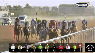 Race #1 - 09.02.24 - P & O Marinas Presented by DP World