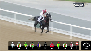 Race #1 - 09.02.24 - P & O Marinas Presented by DP World