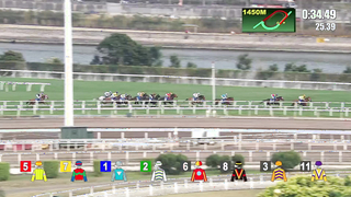 Here is the race recap for the 2024 Hong Kong Gold Cup.