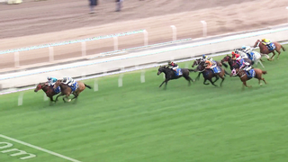 Here is the race recap for the 2024 Hong Kong Gold Cup.