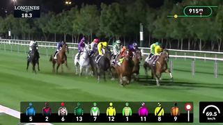 Race #5 – 02.02.24 – DUBAI SPRINT Presented by Lincoln Navigator