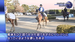 FEATURE INTERVIEW | 2024 February Stakes | JRA Official