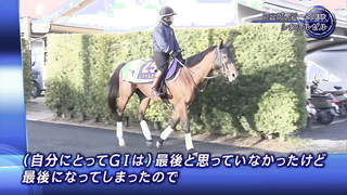 FEATURE INTERVIEW | 2024 February Stakes | JRA Official