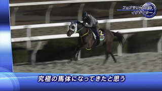 FEATURE INTERVIEW | 2024 February Stakes | JRA Official