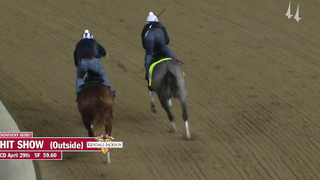 Hit Show Work | April 29, 2023