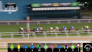 Race #9 – 26.01.24 – Al Khail Trophy presented by Longines