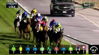 Race #9 – 26.01.24 – Al Khail Trophy presented by Longines