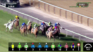 Race #9 – 26.01.24 – Al Khail Trophy presented by Longines