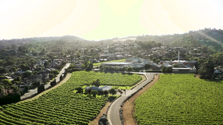 Penfolds Magill Cellar 3 and Victoria Derby Day. The Perfect Pair.