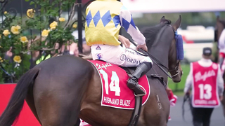 Penfolds Magill Cellar 3 and Victoria Derby Day. The Perfect Pair.