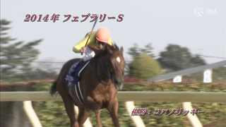 The history of the 2024 February Stakes and introduces the horses participating in the race