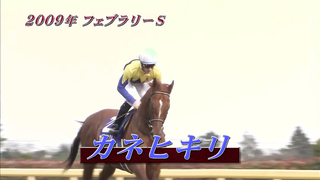 The history of the 2024 February Stakes and introduces the horses participating in the race