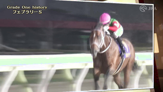 The history of the 2024 February Stakes and introduces the horses participating in the race