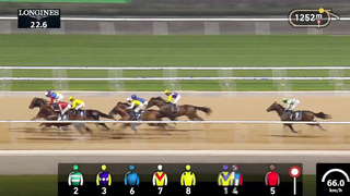 Race #8 – 26.01.24 – UAE 2000 Guineas presented by Longines