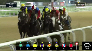 Race #8 – 26.01.24 – UAE 2000 Guineas presented by Longines