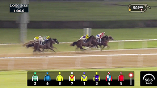 Race #8 – 26.01.24 – UAE 2000 Guineas presented by Longines