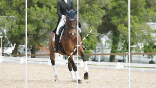 The Rules of Dressage" is a video provided by the JRA that explains the rules of dressage, a form of equestrian sport that showcases the horse's elegance and obedience.