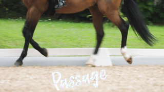 The Rules of Dressage" is a video provided by the JRA that explains the rules of dressage, a form of equestrian sport that showcases the horse's elegance and obedience.