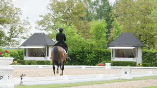 The Rules of Dressage" is a video provided by the JRA that explains the rules of dressage, a form of equestrian sport that showcases the horse's elegance and obedience.