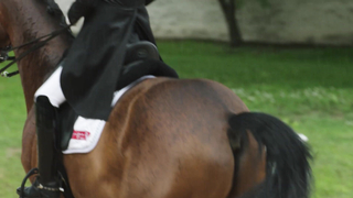 The Rules of Dressage" is a video provided by the JRA that explains the rules of dressage, a form of equestrian sport that showcases the horse's elegance and obedience.