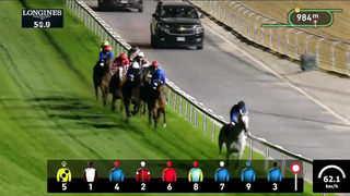 Race #7 – 26.01.24 – Jebel Hatta presented by Longines