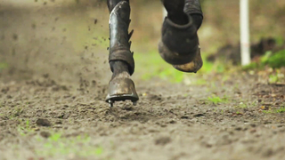 the Rules of Eventing