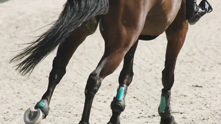 The Rules of Jumping - Official JRA