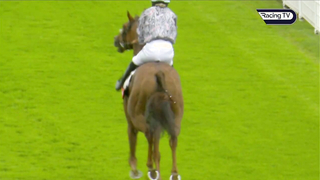 The 2023 Magnolia Cup Race Replay At Glorious Goodwood