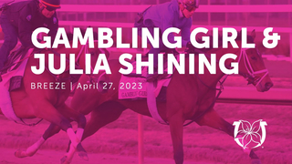 Gambling Girl and Julia Shining Work | April 27, 2023