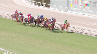 2023 Maker's Mark Breeders' Cup Filly & Mare Turf - Inspiral