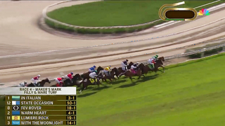 2023 Maker's Mark Breeders' Cup Filly & Mare Turf - Inspiral