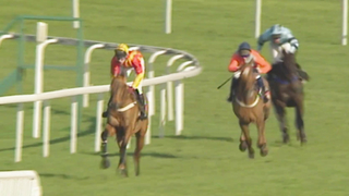 Nicky Henderson | All Wins in the Ascot Chase