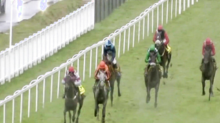 Nicky Henderson | All Wins in the Ascot Chase