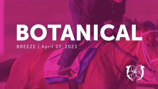 Botanical Work | April 27, 2023