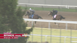 Botanical Work | April 27, 2023