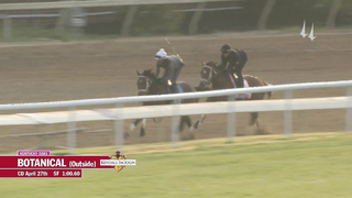 Botanical Work | April 27, 2023