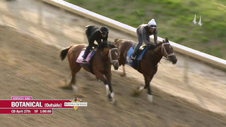 Botanical Work | April 27, 2023