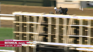 Botanical Work | April 27, 2023