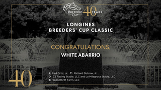 2023 Longines Breeders' Cup Classic - White Abarrio