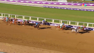 2023 Longines Breeders' Cup Classic - White Abarrio