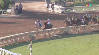 2023 Longines Breeders' Cup Classic - White Abarrio