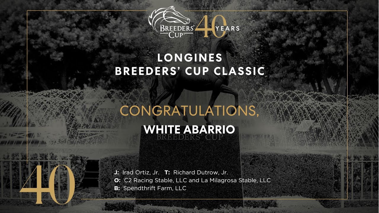 2023 Longines Breeders' Cup Classic - White Abarrio