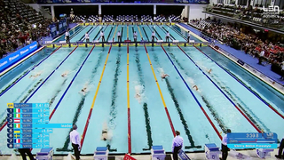 WORLD RECORD | Daniel Wiffen - SC 800m Freestyle | European Aquatics