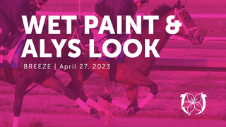 Wet Paint and Alys Look Work | April 27, 2023