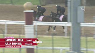 Wet Paint and Alys Look Work | April 27, 2023