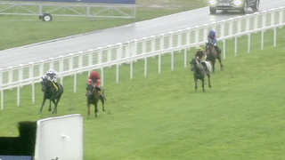 Paul Nicholls | All Wins in the Ascot Chase