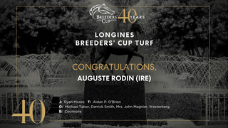 2023 Longines Breeders' Cup Turf - Auguste Rodin (IRE)
